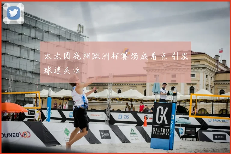 太太团亮相欧洲杯赛场成看点 引发球迷关注