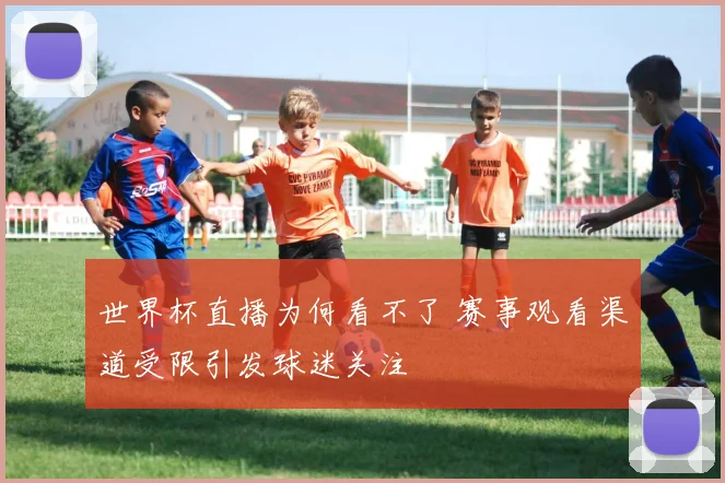 世界杯直播为何看不了 赛事观看渠道受限引发球迷关注