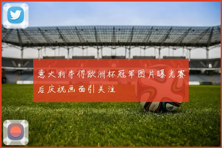 意大利夺得欧洲杯冠军图片曝光赛后庆祝画面引关注