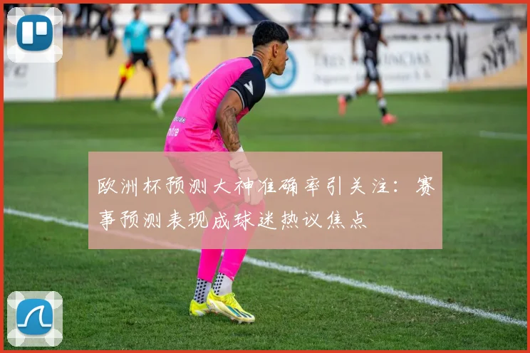 欧洲杯预测大神准确率引关注：赛事预测表现成球迷热议焦点