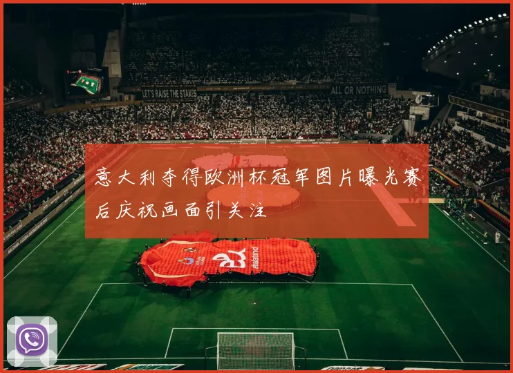 意大利夺得欧洲杯冠军图片曝光赛后庆祝画面引关注