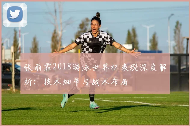 张雨霏2018游泳世界杯表现深度解析：技术细节与战术布局