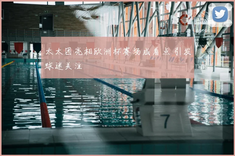 太太团亮相欧洲杯赛场成看点 引发球迷关注