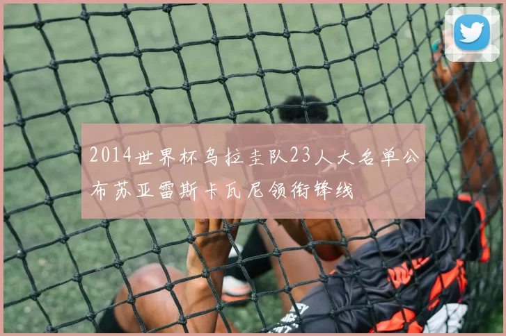 2014世界杯乌拉圭队23人大名单公布苏亚雷斯卡瓦尼领衔锋线