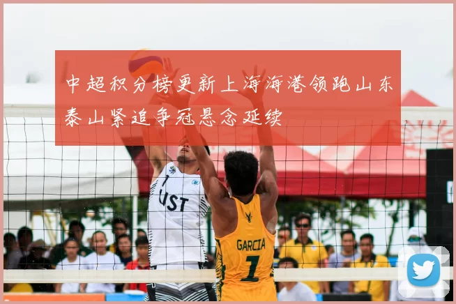 中超积分榜更新上海海港领跑山东泰山紧追争冠悬念延续