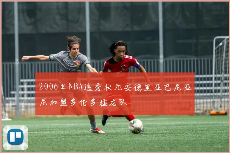 2006年NBA选秀状元安德里亚巴尼亚尼加盟多伦多猛龙队